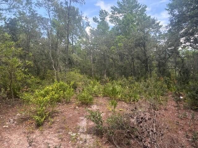 0 Us Hwy 27, Lake Wales, FL 33859 photo 4