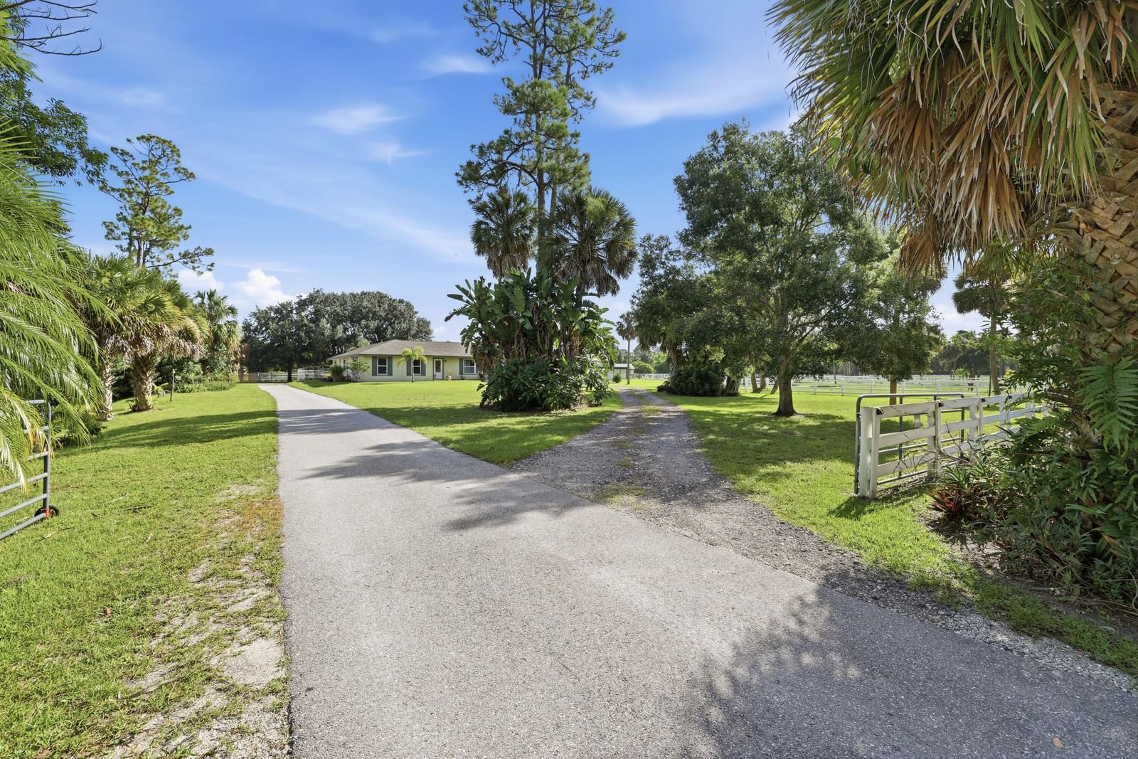 14095 BIDDEX Road, Loxahatchee Groves, FL 33470 photo 5