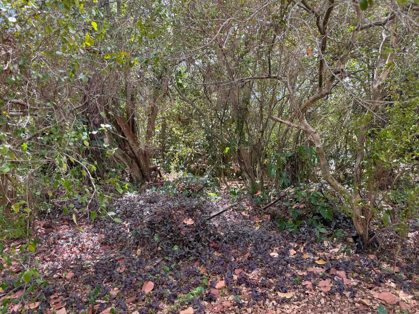 3358 S Jog Road, Greenacres, FL 33467 photo 3