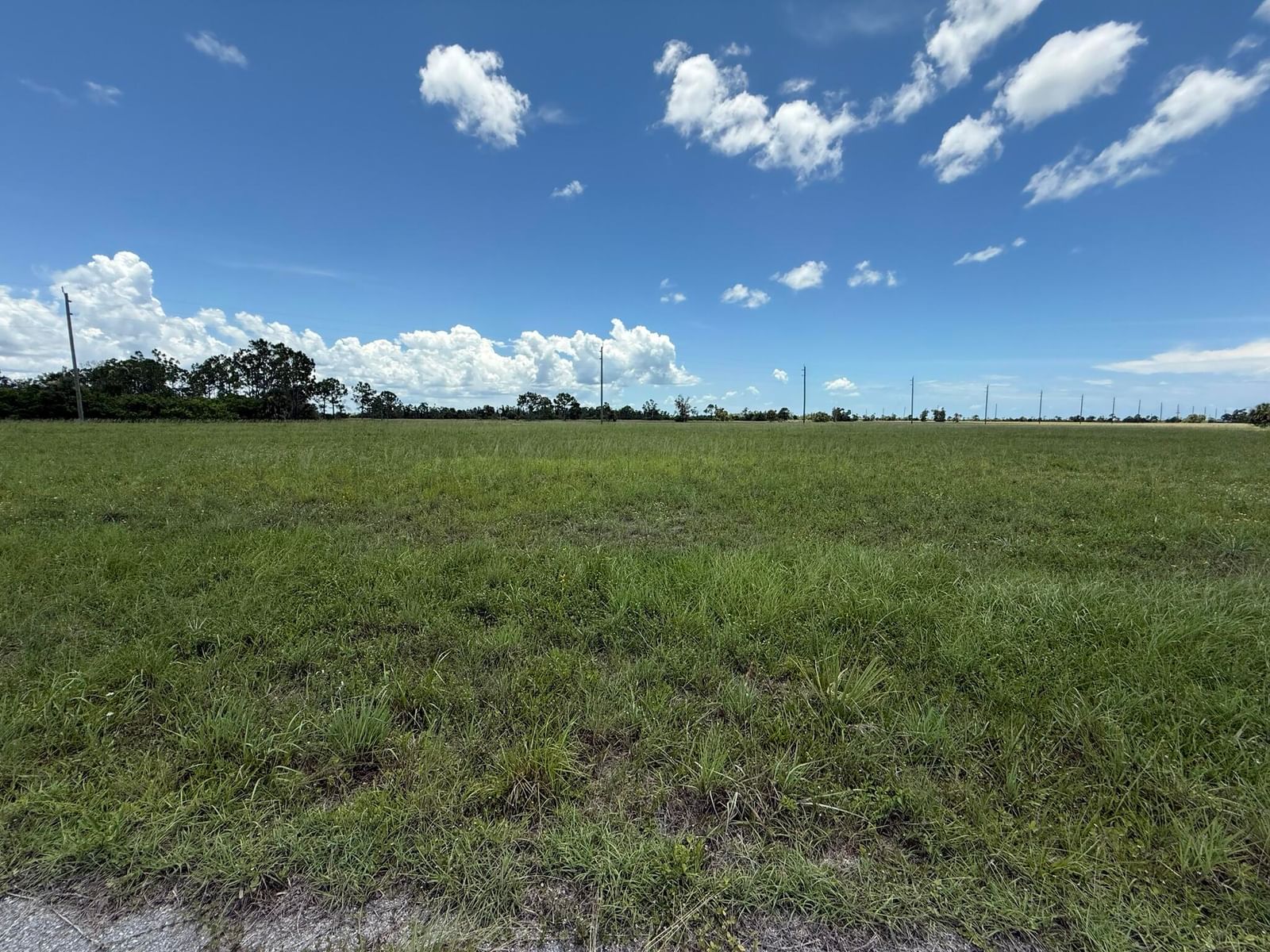 12439 GREENLING Way, Placida, FL 33953 photo 5