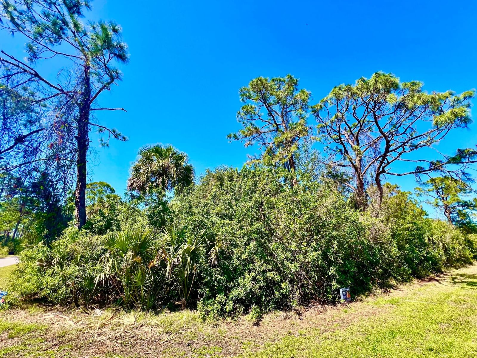 12142 Joyner Avenue, Port Charlotte, FL 33953 photo 2