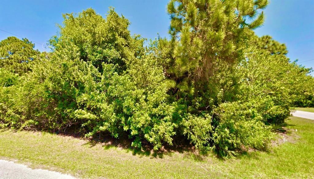 12142 Joyner Avenue, Port Charlotte, FL 33953 photo 5