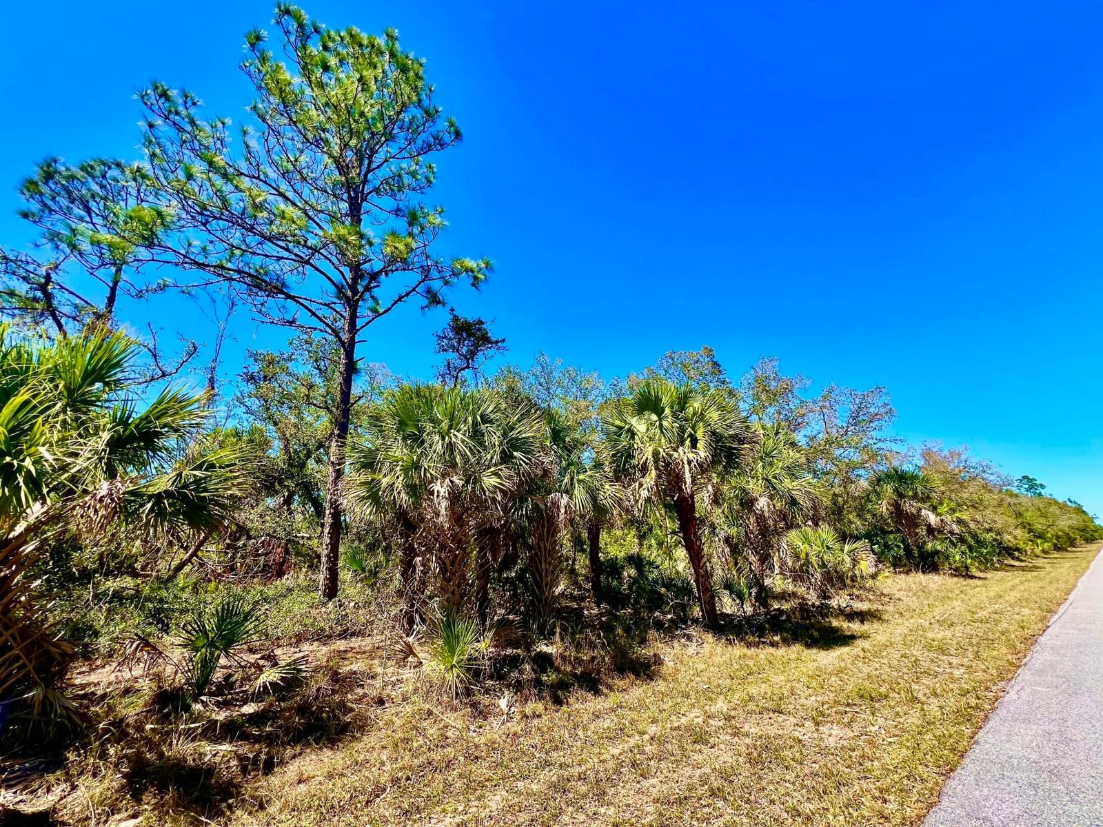 441 Juper Street, Port Charlotte, FL 33953 photo 2