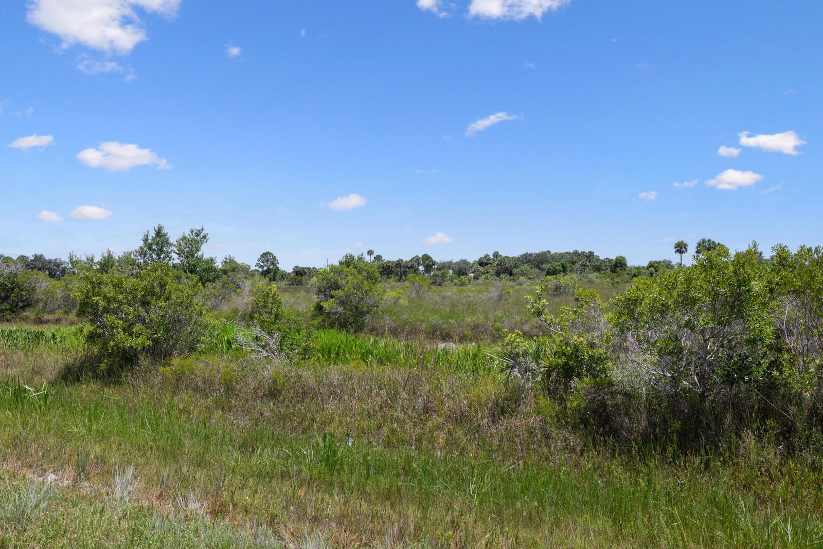 14932 NW 280TH Street, Okeechobee, FL 34972 photo 3