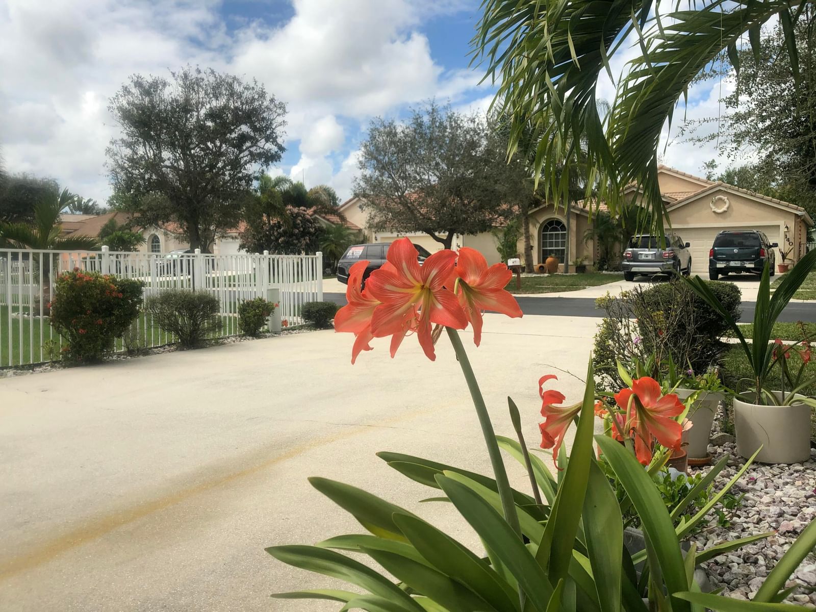 139 PRESERVE Drive, Royal Palm Beach, FL 33411 photo 5
