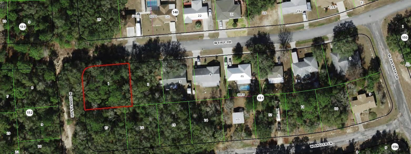 2520 W ERIC Drive, Dunnellon, FL 34434 photo 2