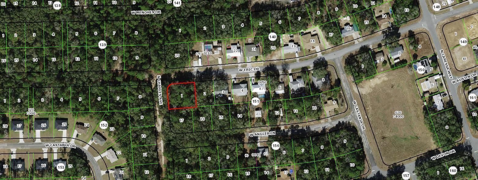 2520 W ERIC Drive, Dunnellon, FL 34434 photo 3