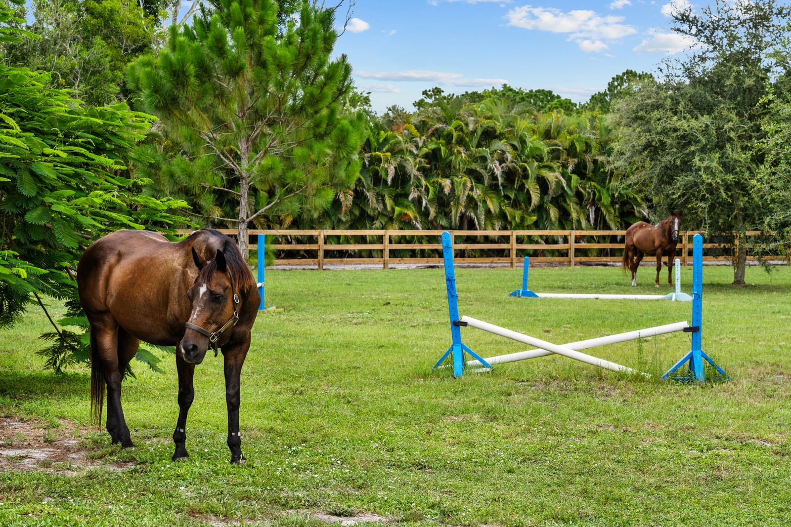 19925 Black Falcon Road, Loxahatchee, FL 33470 photo 4