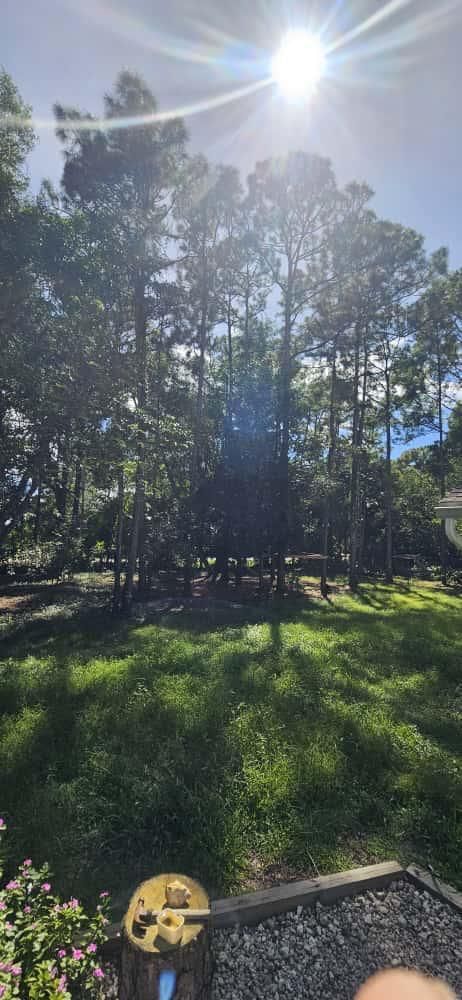 15941 MELLEN Lane, Jupiter, FL 33478 photo 2