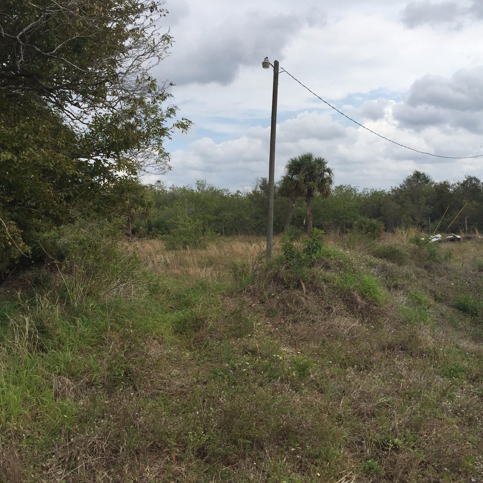 20636 LOUISE Street, Loxahatchee, FL 33470 photo 3