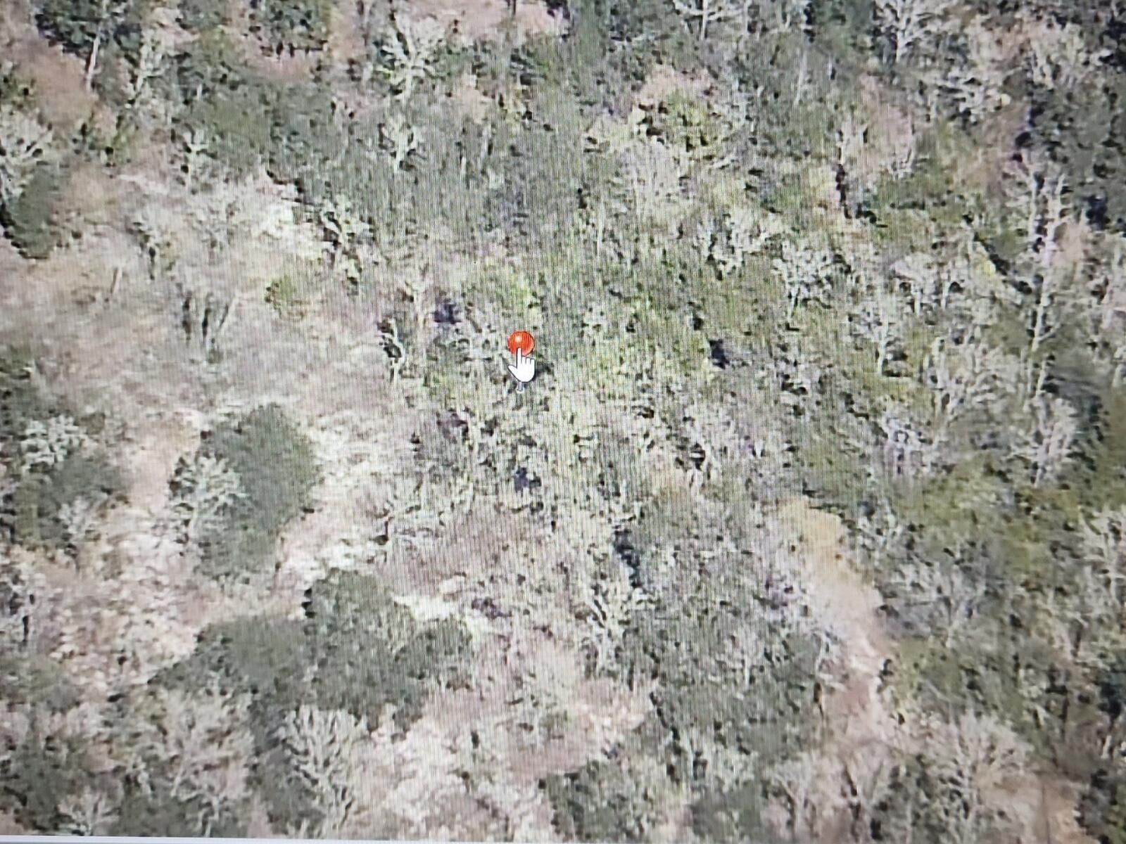 000 SW Paradise Heights Road, Dunnellon, FL 34431 photo 2
