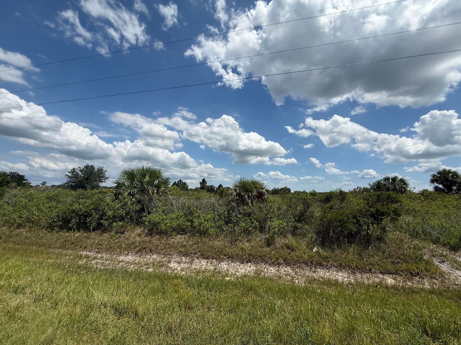 16162 NW 290TH Street, Okeechobee, FL 34972 photo 2