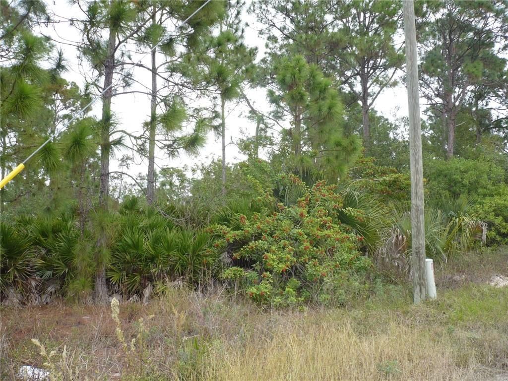 320 G Road, Labelle, FL 33935 photo 3