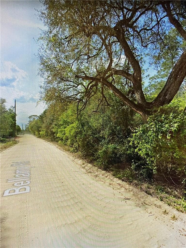 0000 Lone Pine Trail, Melrose, FL 32666 photo 2