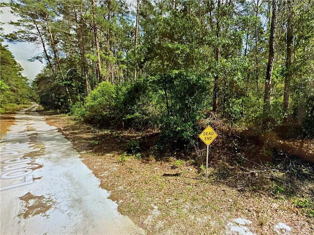 0000 Lone Pine Trail, Melrose, FL 32666 photo 5