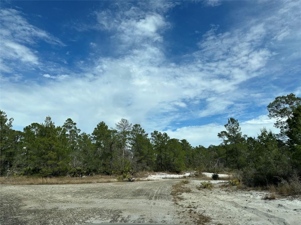 4508 Briarcliff Avenue, Sebring, FL 33875 photo 2