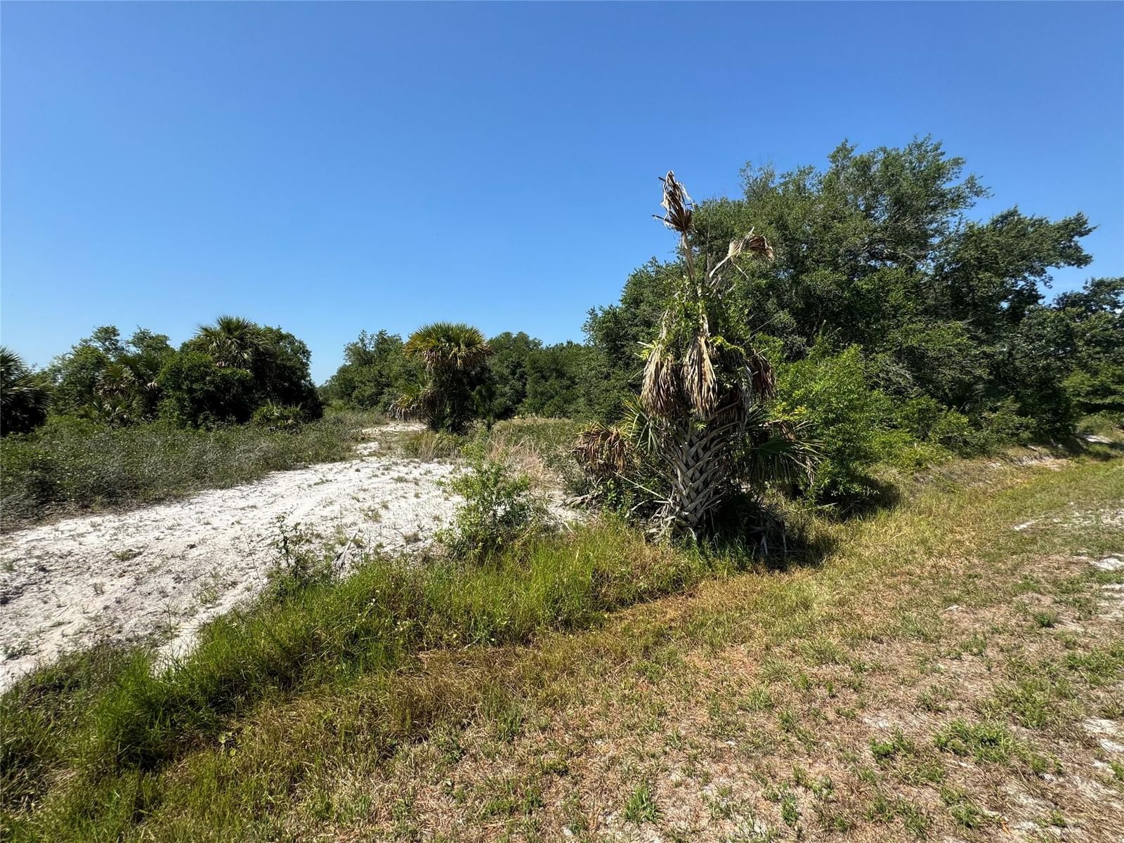 16788 NW 276th Street, Okeechobee, FL 34972 photo 2