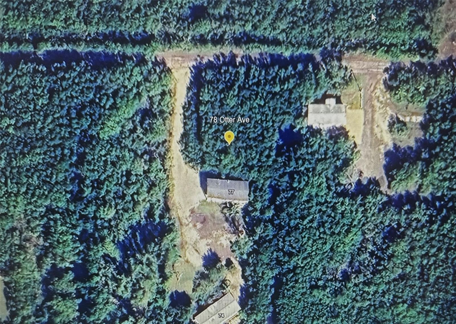 78 Otter Avenue, Everglades City, FL 34139 photo 5
