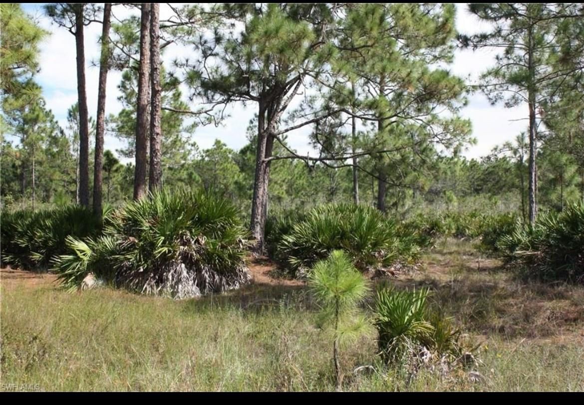 1855 Miller Street, Lehigh Acres, FL 33972 photo 3