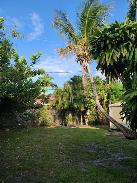 1123 N 17th Avenue, Hollywood, FL 33020 photo 4