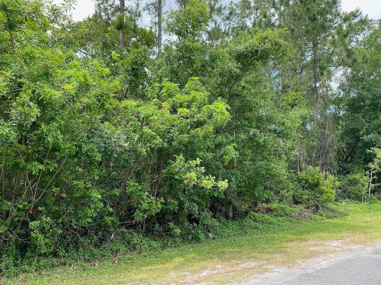 2351 Allamanda Drive, Indian Lake Estates, FL photo 2
