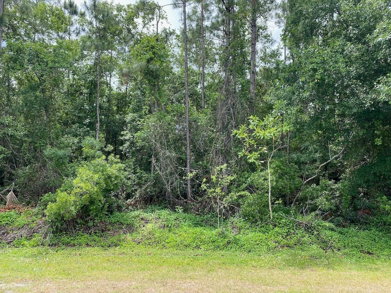 2351 Allamanda Drive, Indian Lake Estates, FL photo 4