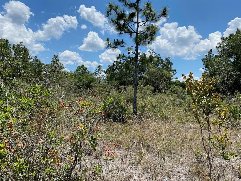 Lot 24 Indian Lake Drive, Indian Lake Estates, FL photo 2