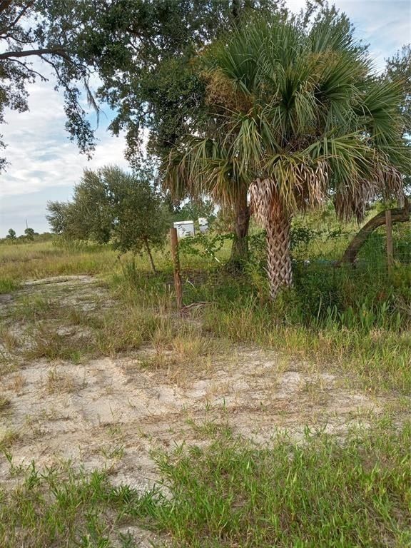 17925 NW 316th Street, Okeechobee, FL 34972 photo 3
