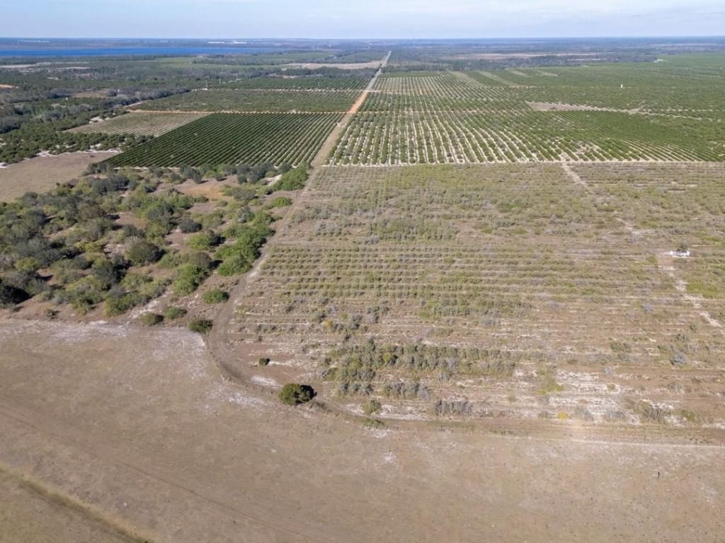 3073 CR 627, Avon Park, FL 33825 photo 3