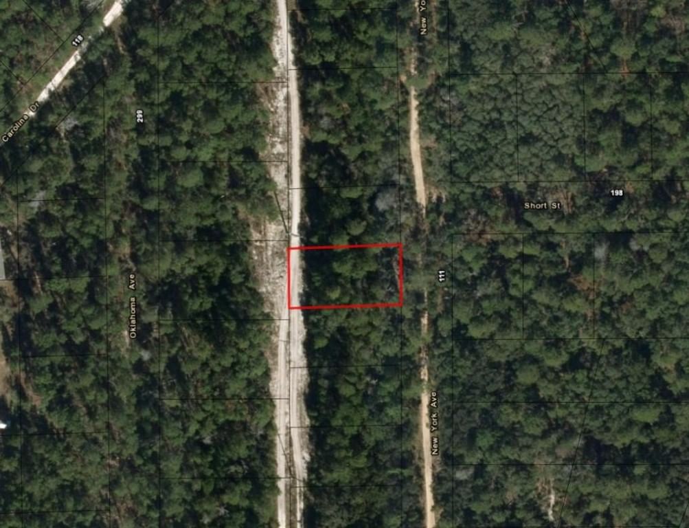 111 New York Avenue, Satsuma, FL 32148 photo 2