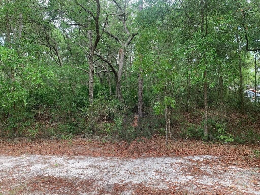 209 Highline Trail, Satsuma, FL 32189