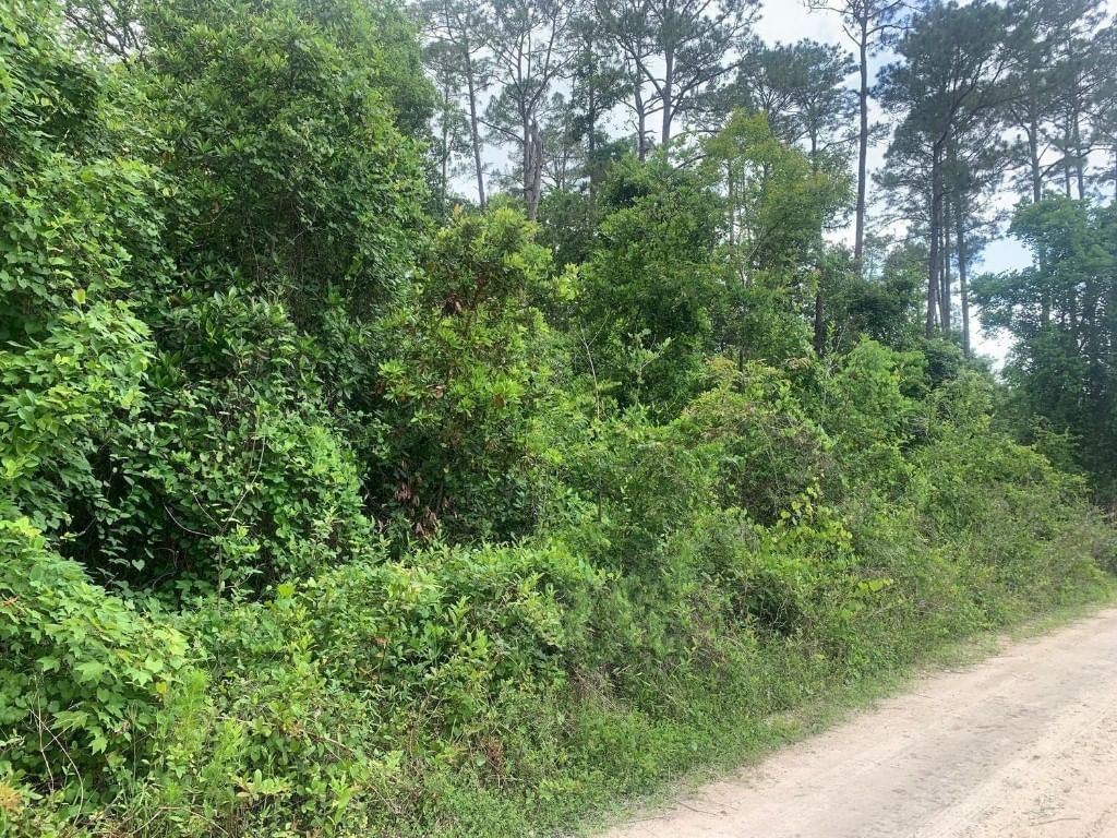 0 Coot Drive, Satsuma, FL 32189