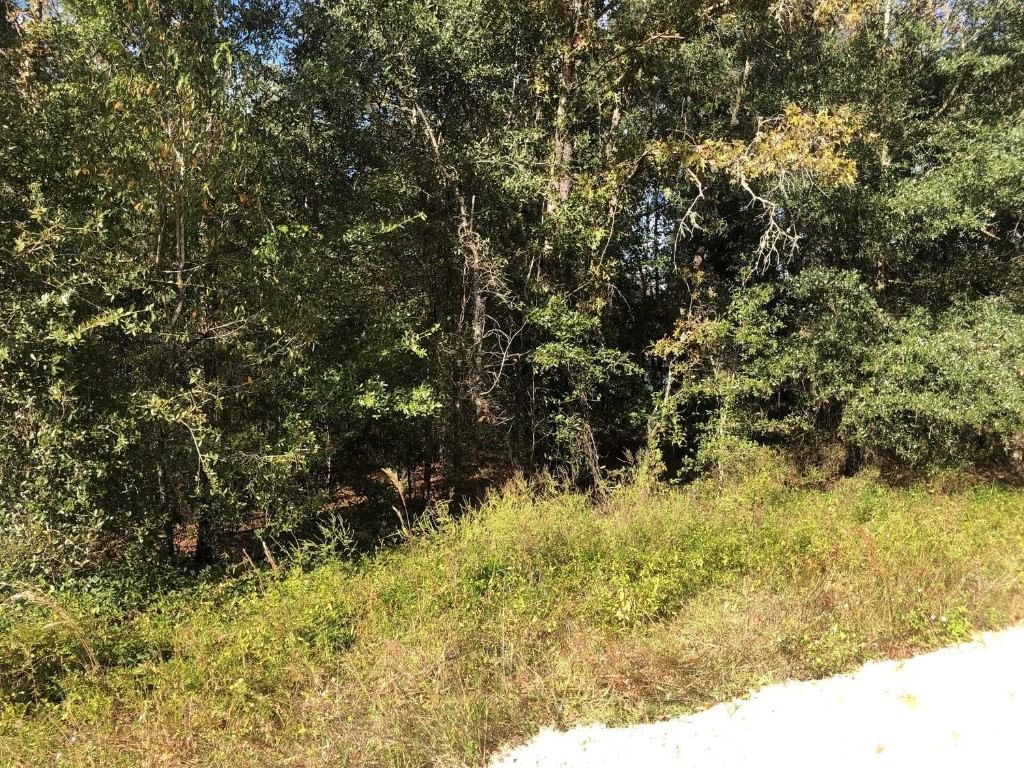 0 Evans Avenue, Interlachen, FL 32148