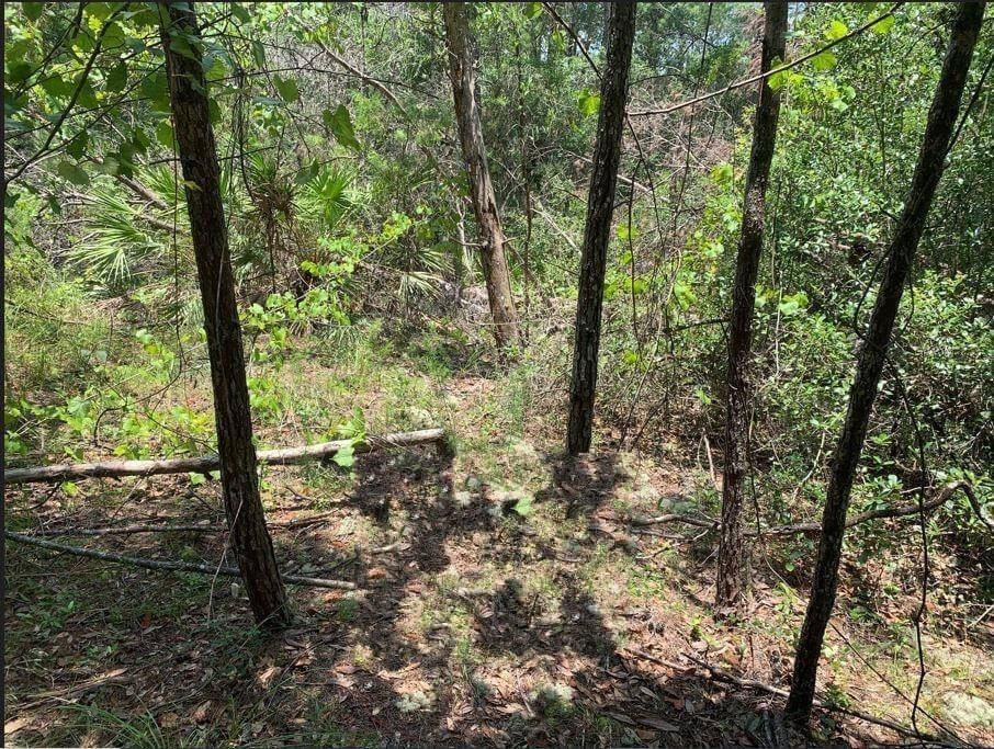213 Kansas Street, Satsuma, FL 32189