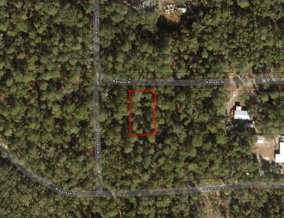 213 Kansas Street, Satsuma, FL 32189 photo 2