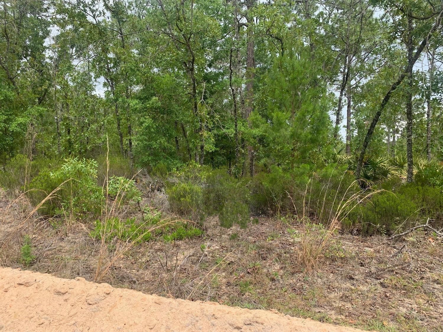 0 Miami Street, Interlachen, FL 32148