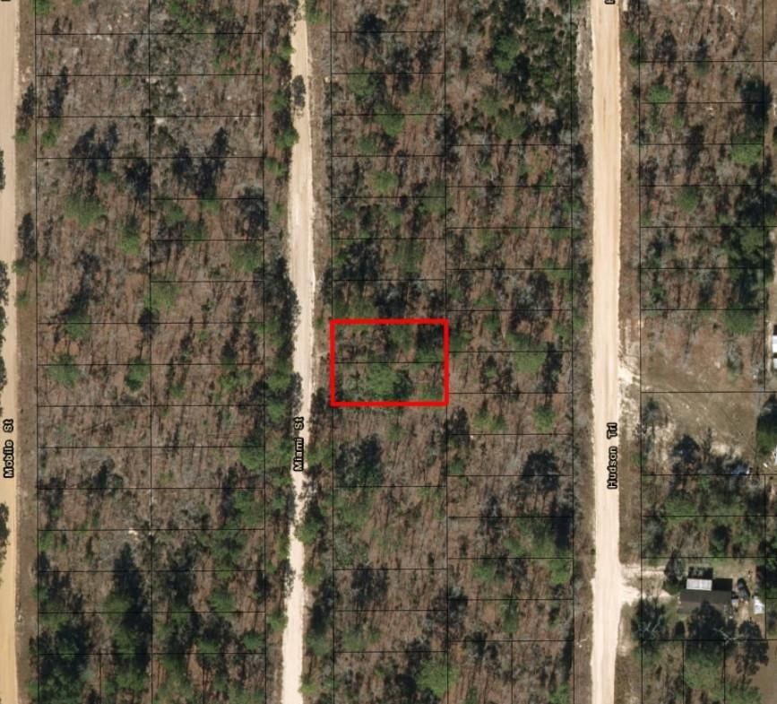 0 Miami Street, Interlachen, FL 32148 photo 2