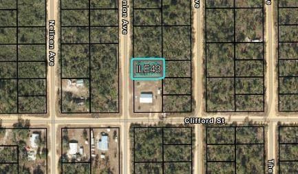 204 Usina Avenue, Interlachen, FL 32148 photo 3
