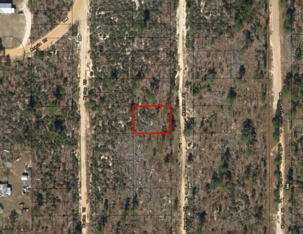 0 Manatee Street, Interlachen, FL 32148 photo 2