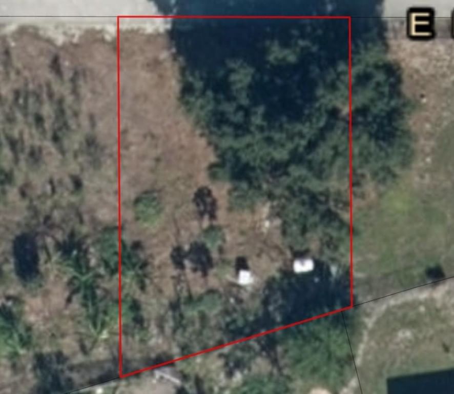 30 E Metcalfe Street, Avon Park, FL 33825 photo 2