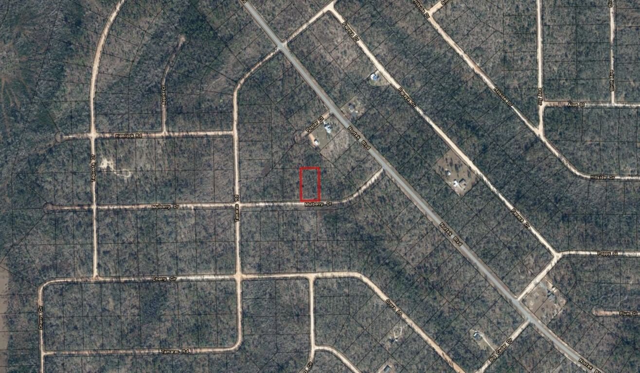 0 Mulberry Drive, Marianna, FL 32448 photo 3