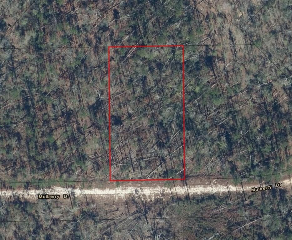 0 Mulberry Drive, Marianna, FL 32448 photo 4