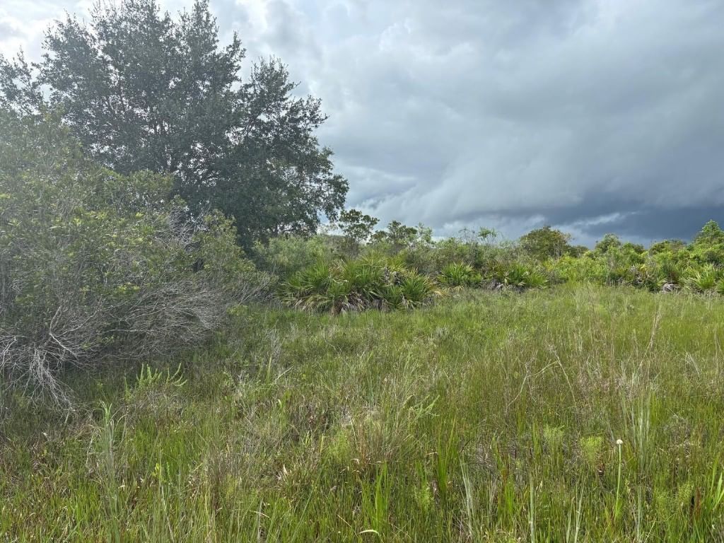 0 NW 312th Street, Okeechobee, FL 34972
