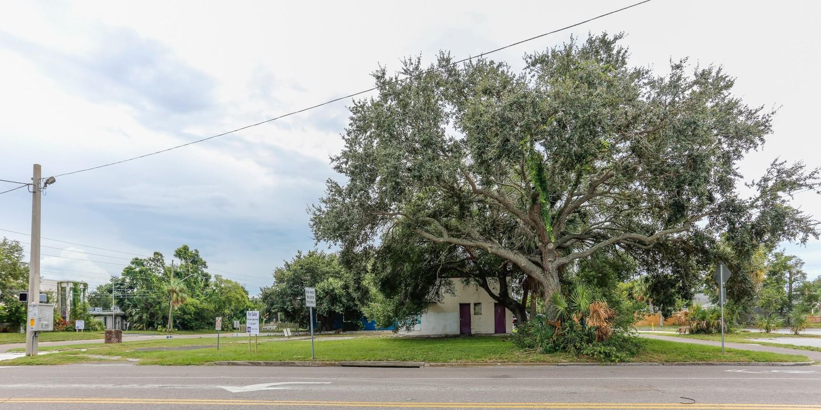 1246 N 16th Street, St Petersburg, FL 33705 photo 5