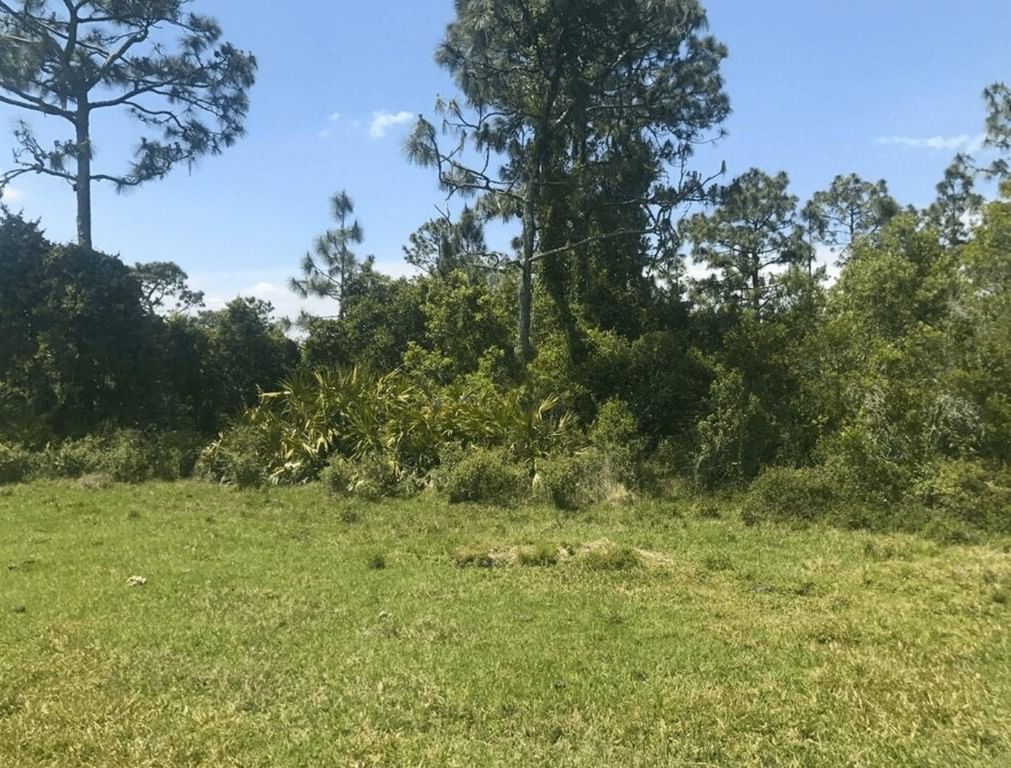 0 Holopaw Groves Road, St Cloud, FL 34772
