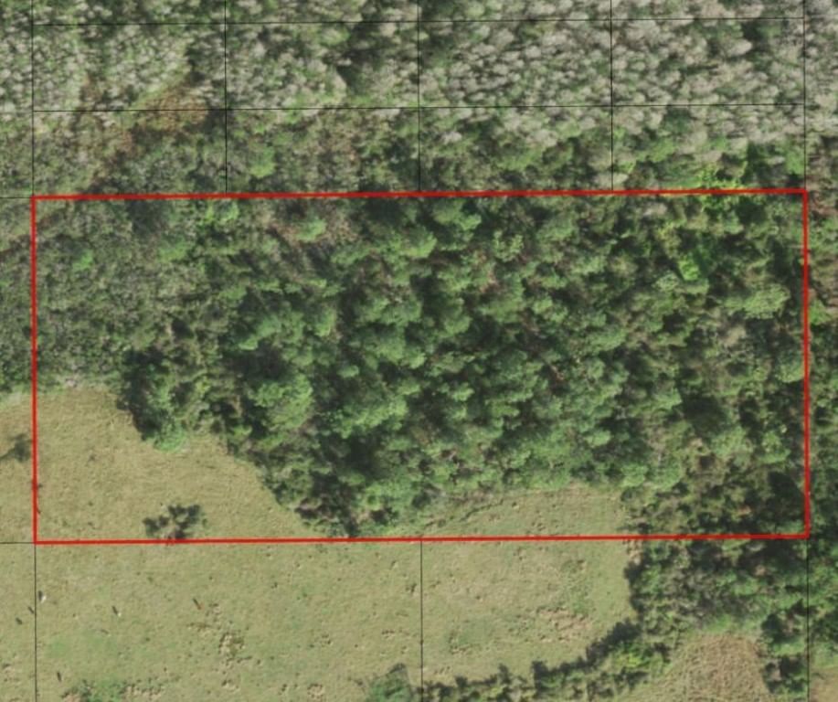 0 Holopaw Groves Road, St Cloud, FL 34772 photo 2