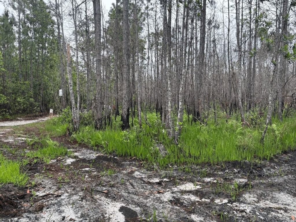 0 Holopaw Groves Road, St Cloud, FL 34772