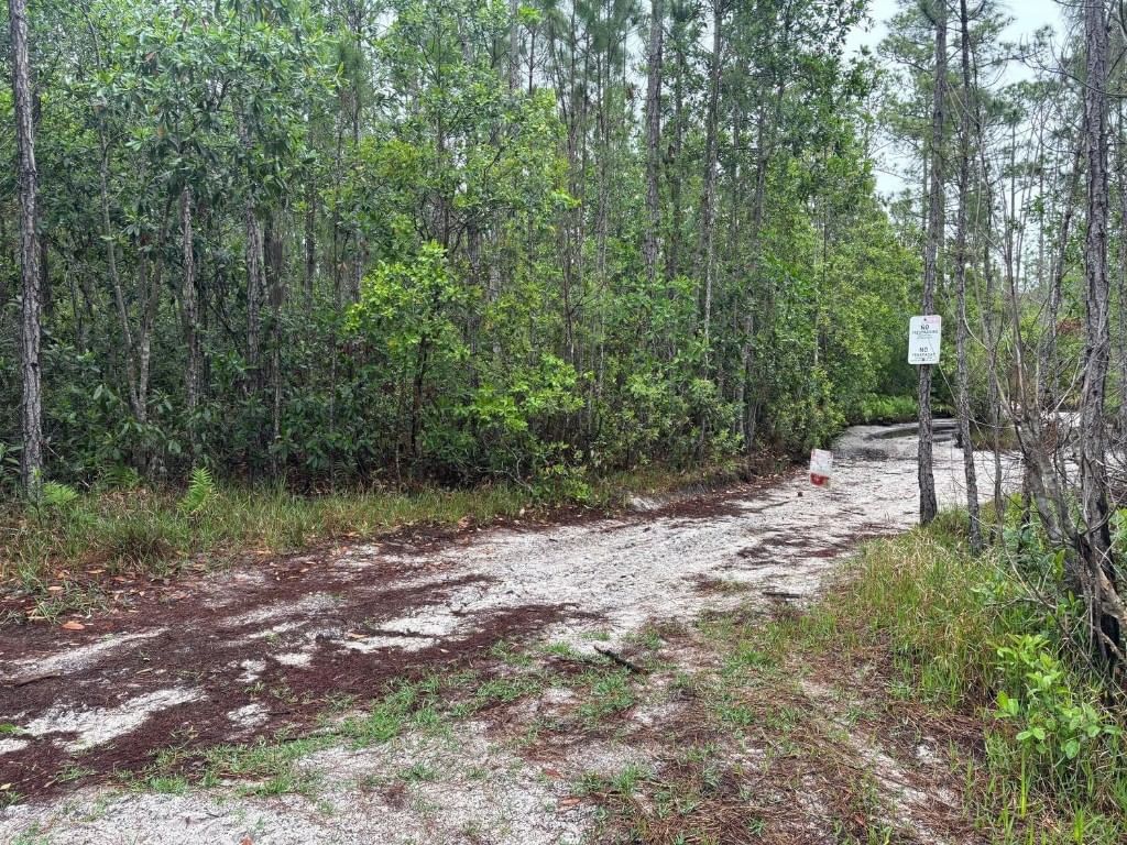 0 Holopaw Groves Road, St Cloud, FL 34772 photo 2