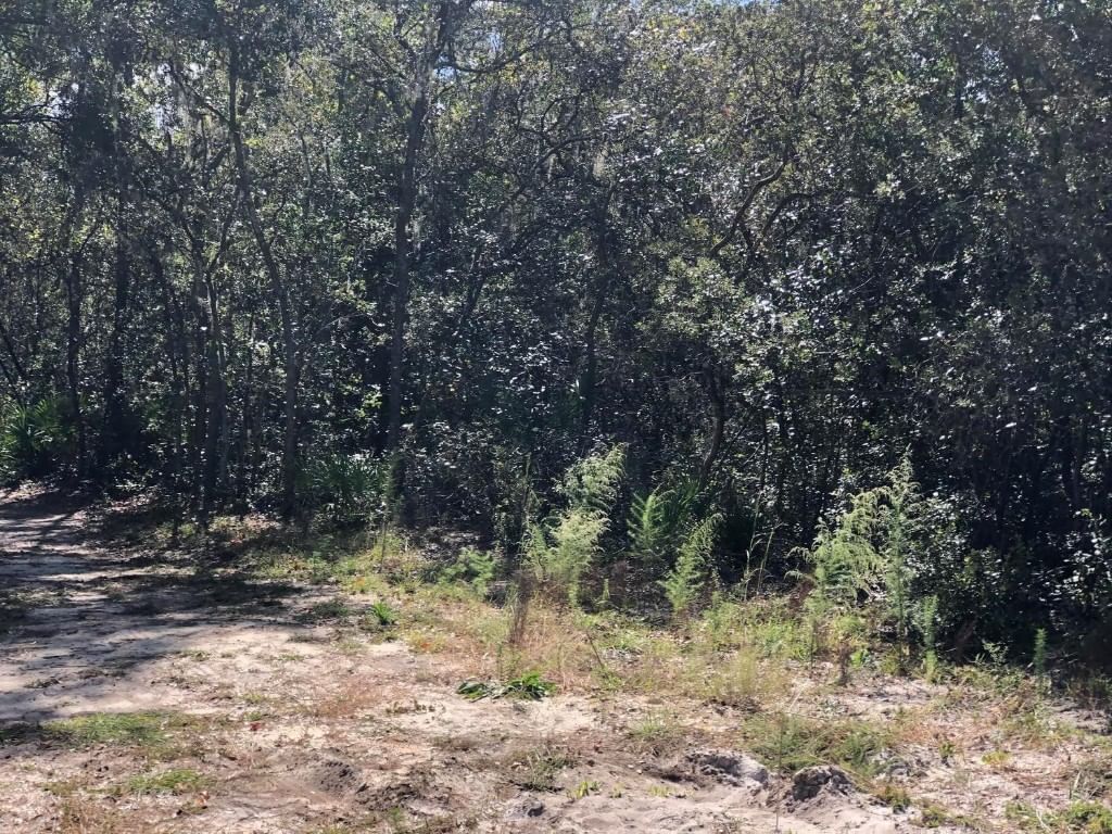 0 Maine Avenue, Interlachen, FL 32148