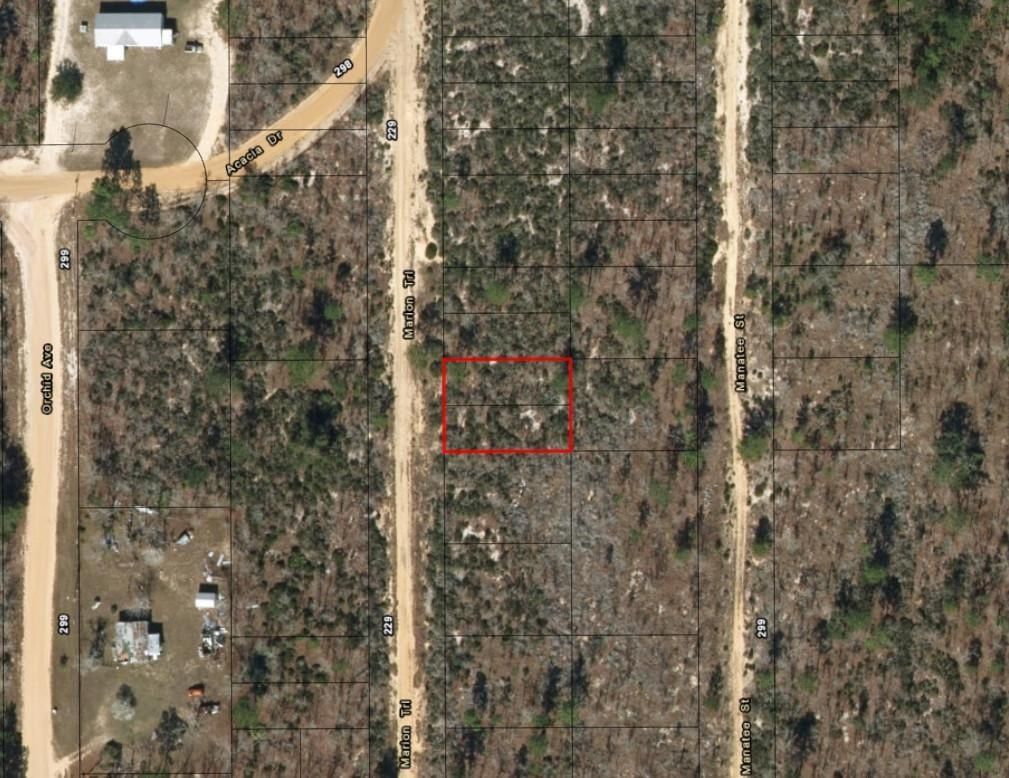 214 Marion Trail, Interlachen, FL 32148 photo 2